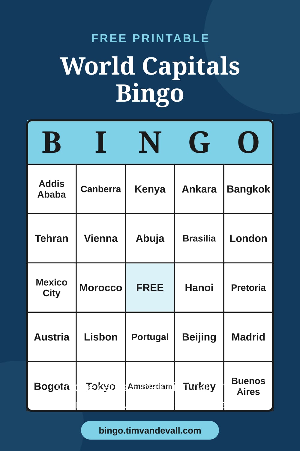 Sample free printable World Capitals Bingo card with a 5x5 grid and B-I-N-G-O header